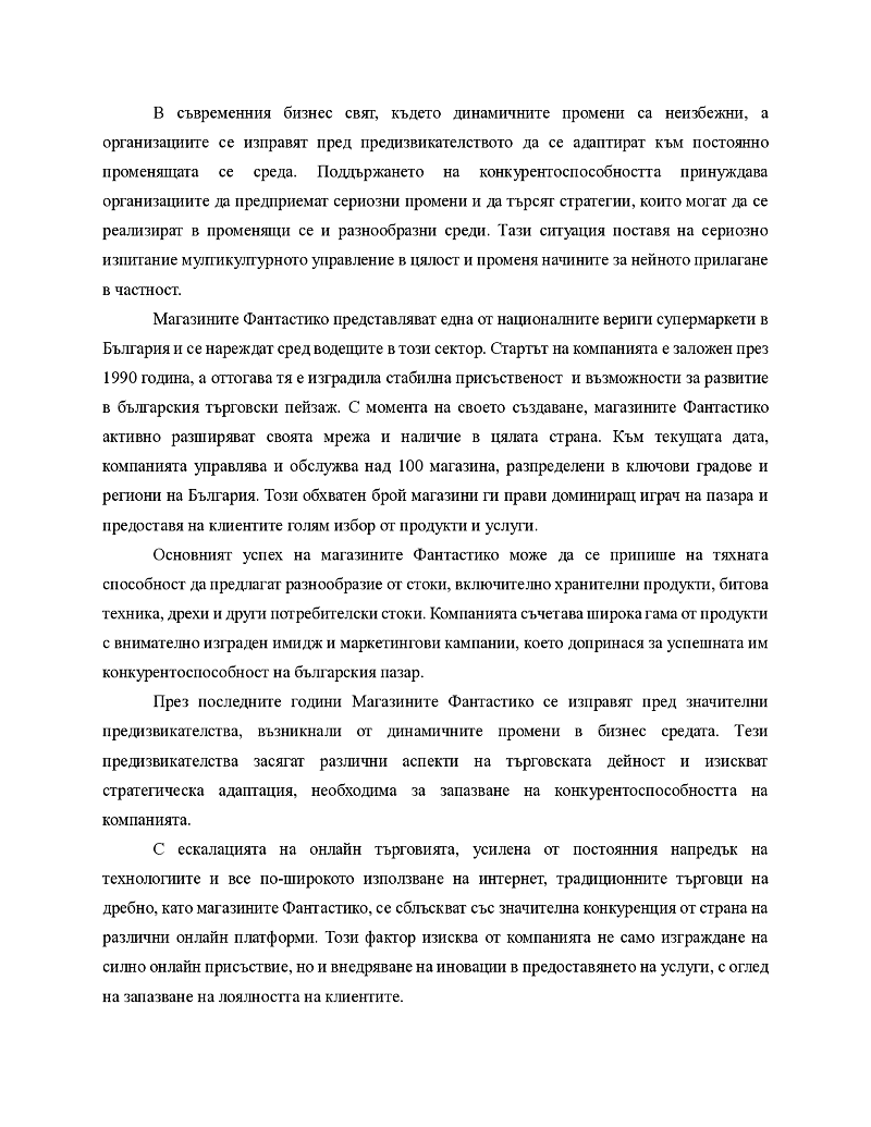 Анализ на проблемите и предизвикателствата на, магазини Фантастико в контекста на промяна  2