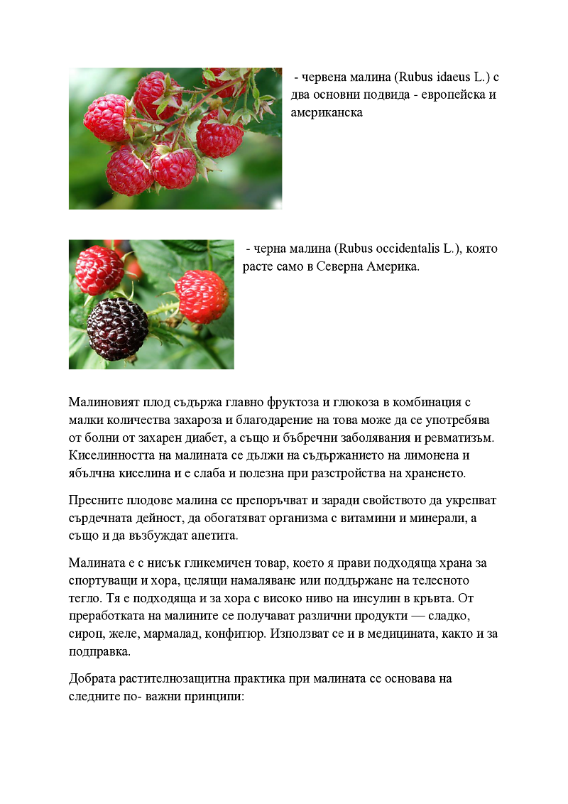 Интегрирана растителна защита при малина, плевели,болести и неприятели 3